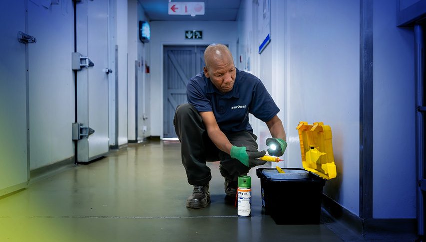 Safe spider cleanup guidance for Missouri homeowners